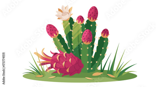 Capture the Vibrant Beauty of a Blooming Dragon Fruit Cactus with Exotic Charm, Perfect for Tropical Designs, Botanical Illustrations, and Healthy Eating Concepts that Inspire Creativity
