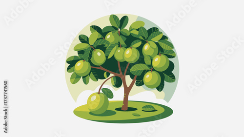 Delightful guava tree illustration bearing ripe green fruit, perfect for tropical themed designs, healthy food campaigns, and vibrant nature projects that need a fresh and inviting touch