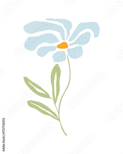 chamomile boho flower, stylized botanical element, daisy isolated on white background