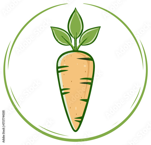Fresh Carrot Drawing Icon with Leaves and Circular Border Element