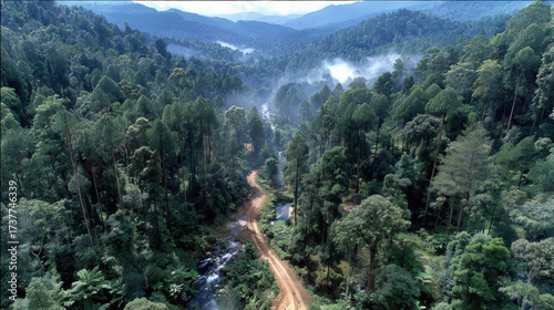 The impact of policy reforms on forest land tenure