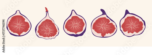 Halved figs set with red pulp and purple skin isolated on light background. Flat vector illustration of fruit slices. Healthy food and organic nutrition concept
