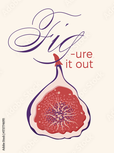Fig-ure It Out Halved fig poster pun slogan with red pulp and purple skin isolated on light background. Flat vector illustration of fruit slices. Healthy food and organic nutrition concept