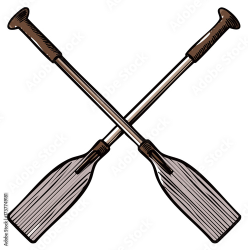 Crossed Rowing Oars Nautical Sport Adventure Illustration Design Element