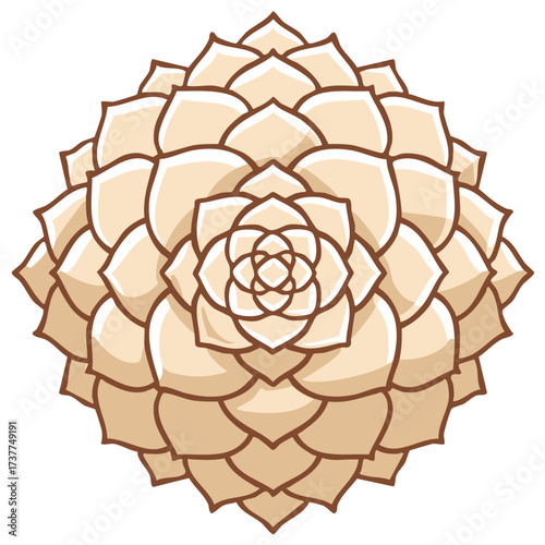 Abstract Beige Succulent Plant Rosette Illustration Minimalist Botanical Graphic Design