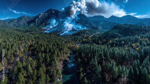 The impact of wildfires on forest ecosystems and management strategies