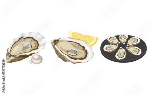 Three illustrations of oysters: one with a pearl, another with a lemon wedge, and a platter of six on the half shell.