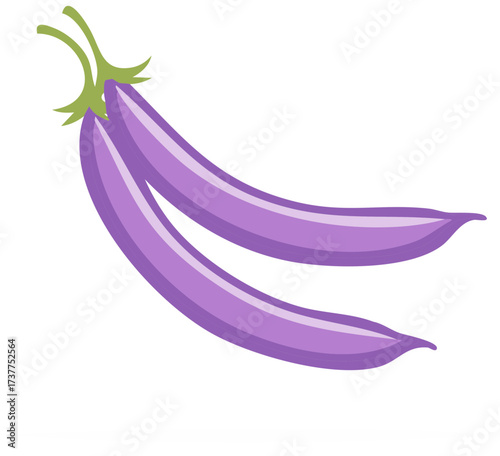 Illustration of Two Fresh Purple String Beans with Green Stems on a White Background