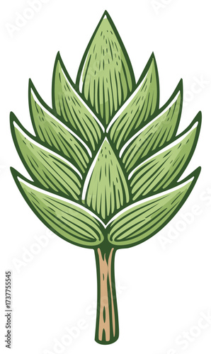 Stylized Green Hop Cone Botanical Illustration for Craft Beer Brewing and Natural Ingredient Concepts