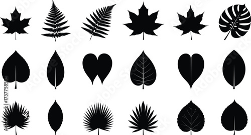 Leaf silhouette collection, botanical vector illustration, black foliage shapes for design, plant identification reference, nature art set for stock