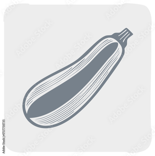 Detailed illustration of a zucchini vegetable with textured lines, gray on a light gray background