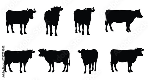 A collection of black silhouettes depicting several cows standing together