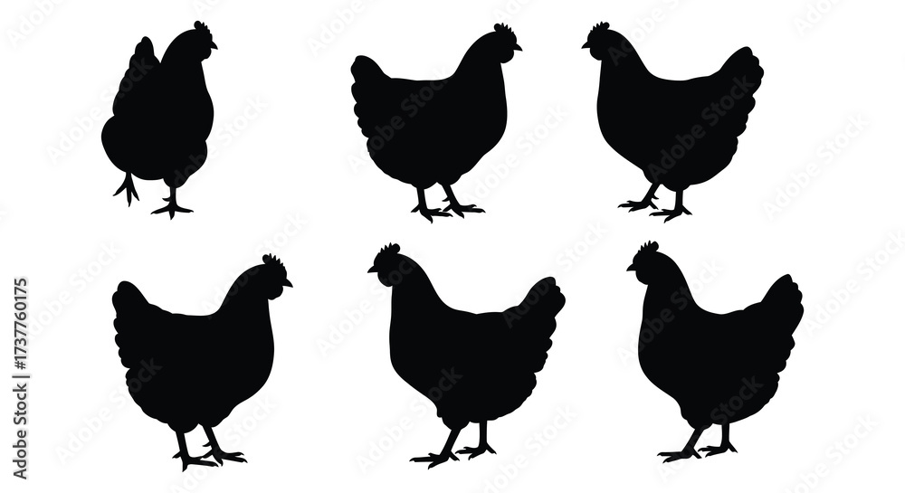 Fototapeta premium Simple black silhouettes of six chickens in various poses shown clearly
