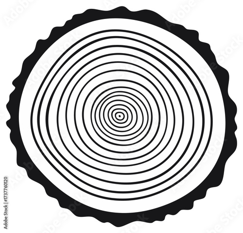 Detailed tree trunk cross section showing natural annual growth rings and rough bark outline