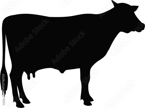 Standing cow in profile view, isolated black silhouette. Bold clean minimalist design for agricultural branding, farm marketing, livestock industry and food-related projects.
