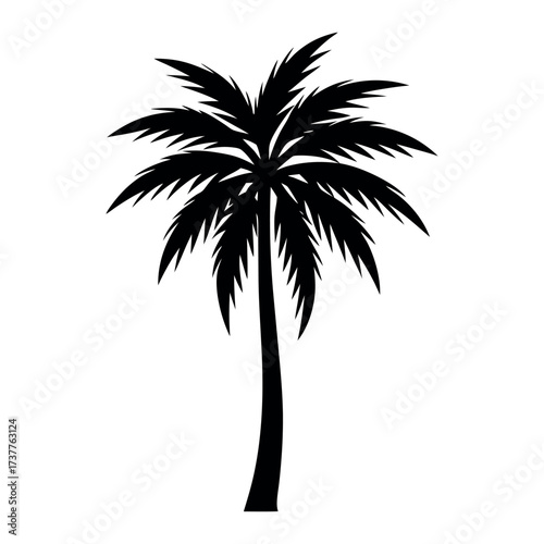 palm tree silhouette vector