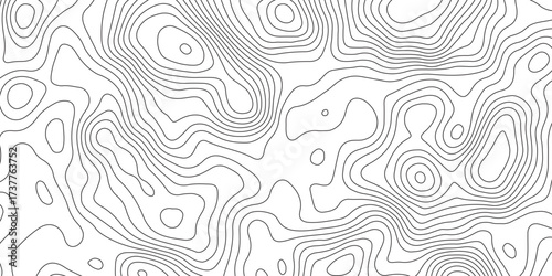Abstract Vector Topographic Map Background with Wavy Contour Lines, Geometric Terrain Relief, and Mountain Grid Pattern for Geography, Navigation, and Travel Design Concept.