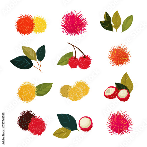 An Icon illustration, colorful Rambutan Fruit Collection with leaves isolated on a white background, vector, simple flat 2D icon, minimalist design, EPS, simple illustration