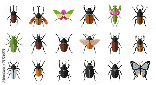 Collection of various colorful insects and beetles in detailed illustration.