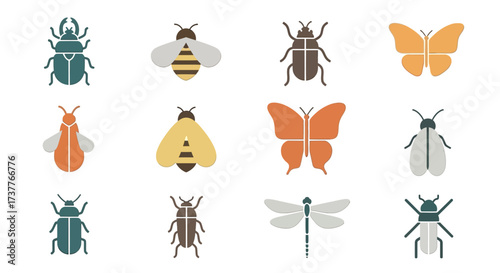 Collection of various colorful insect illustrations on a white background.