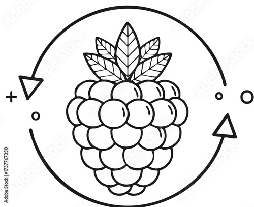 Outline raspberry with recycle process, fruit, arrow, plus and minus