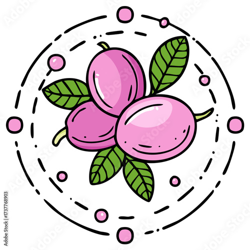 Pink plums with green leaves surrounded by a circular pattern of dots and dashes