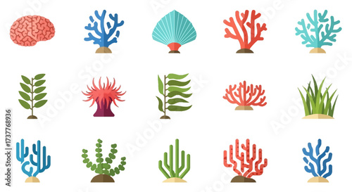 Colorful coral reef plants and marine life underwater ecosystem.
