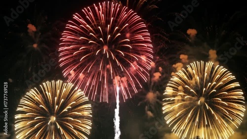 Bright fireworks bursting in the night sky creating colorful festive patterns.