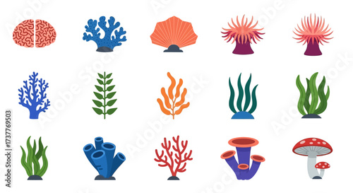 Colorful underwater coral reef and sea plants collection illustration.