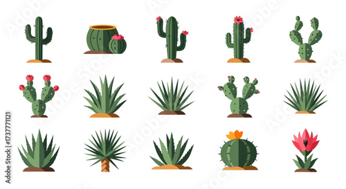 Diverse Collection of Cacti and Succulents in Vector Illustration.