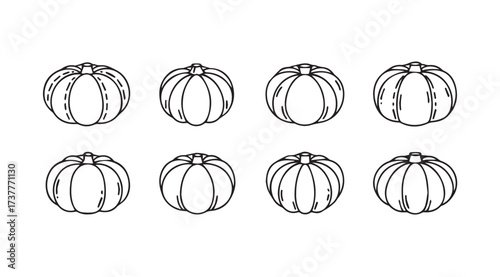 Vector art of pumpkin set