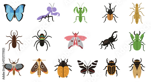Diverse Insect Collection - Butterflies, Beetles, Mantises, and Spiders.