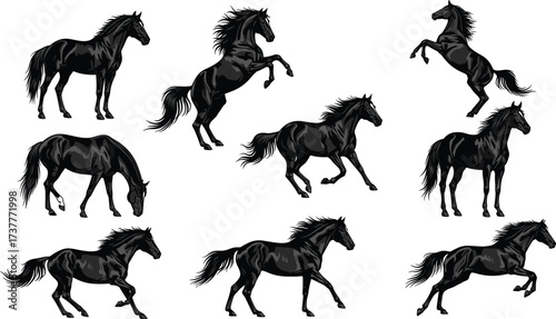 Black horse silhouettes in dynamic poses — running, rearing, grazing, and trotting — powerful equine forms for equestrian, wild, or design themes.
