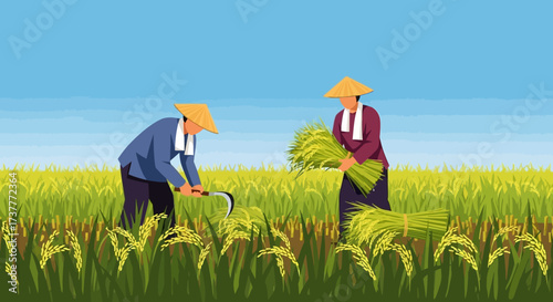 Farmers Harvesting Rice in a Field with Traditional Tools.