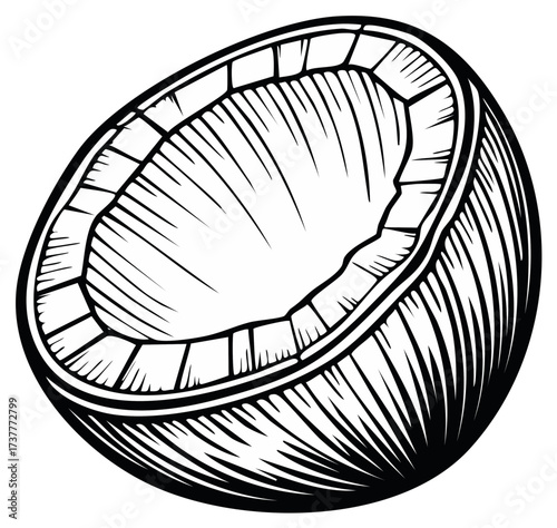 Half cut coconut fruit tropical food ingredient exotic nut black white line art illustration