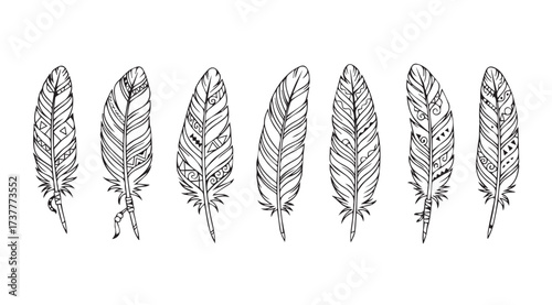 Vector art of feathers