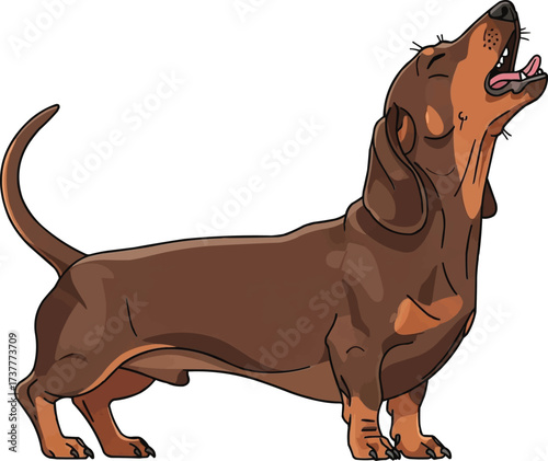 Dachshund dog howling pose vector illustration