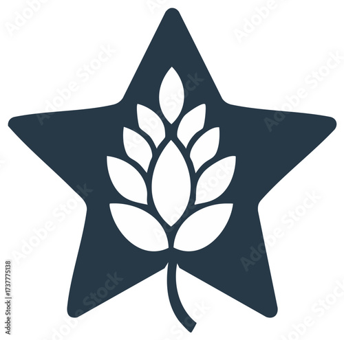 Stylized wheat ears over a star shape, vector illustration for beer and organic goods logo design.
