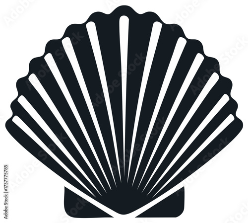 Elegant dark seashell icon with symmetrical radiating lines, simple flat design perfect for summer and nautical themes.