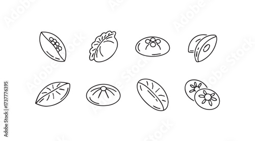 Vector art of asian dumplings isolated