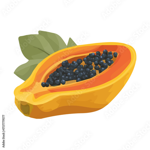 A papaya illustration, digital painting, big papaya slices illustration in watercolor style, isolated on a white background, fruits collection, EPS format design