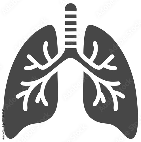 Anatomical Illustration of Human Lungs: Depicting Respiratory System
