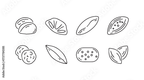 Vector art of seeds