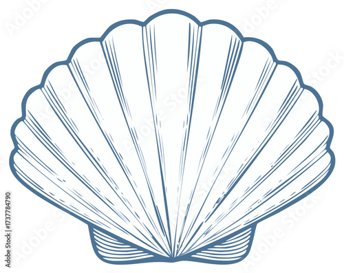 Blue line art drawing of a classic scallop seashell isolated marine life ocean symbol