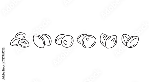 Vector art of almond line art