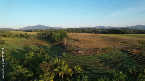 Smooth drone shot over terraced rice fields with a small hut and winding path. Majestic volcano and mountain range rise in the distance under the warm golden sunlight of early morning.
