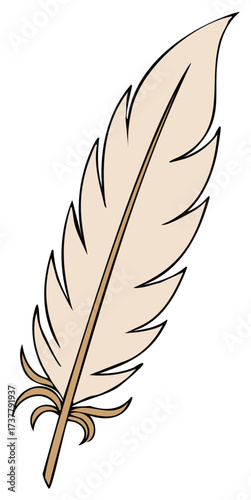 Elegant beige quill feather illustration for writing literature and poetry