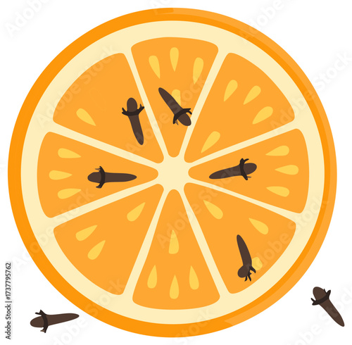 Fresh Orange Slice with Whole Cloves Spices Decoration