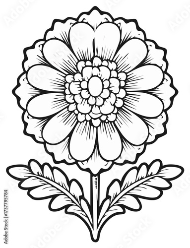 Detailed outline drawing of a blooming flower with broad petals and decorative leaves