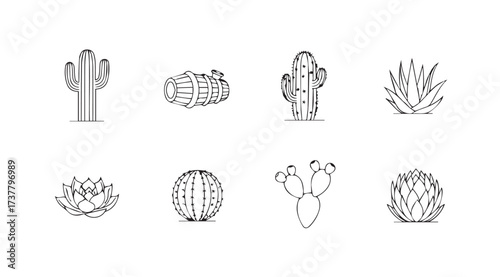Vector art of cactus collection sketch